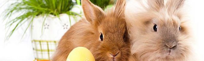 Wesołych Świąt Wielkiej Nocy